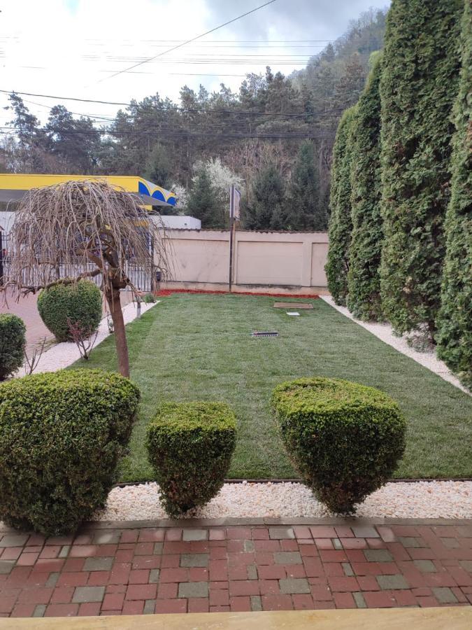 Casa Alina Gasthof 3*